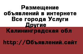 Размещение объявлений в интернете - Все города Услуги » Другие   . Калининградская обл.